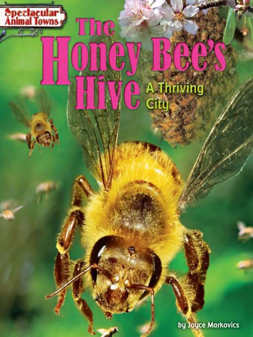 Cover image for The Honey Bee's Hive
